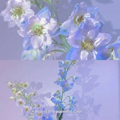 爱游戏全站app下载